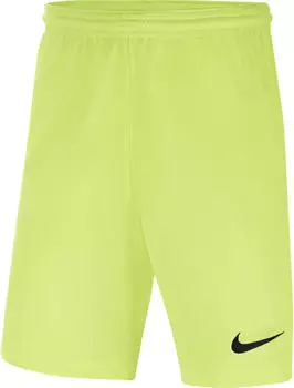 Nike Kids Dri-FIT Park 3 Shorts (BV6865) grau
