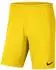 Nike Kinder Short Park III