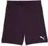 Puma Herren teamGOAL Shorts (705752)