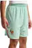 Nike France Kids Shorts 2024/2025 (IB5543) igloo/monarch
