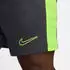Nike Dri-FIT Academy Dri-FIT Fußballhose (DV9742) anthracite/volt