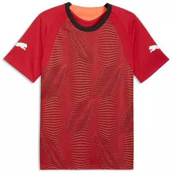 Puma individualFINAL Fu&szlig;balltrikot Herren Rot Red (660424_01)