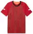 Puma individualFINAL Fußballtrikot Herren Rot Red (660424_01)