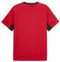 Puma individualLIGA Graphic Fußballtrikot Herren Rot Red (660578_01)