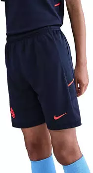 Nike Erling Haaland Academy Dri-FIT Fu&szlig;ballshorts (&auml;ltere Kinder) Blau HV0213-498
