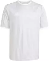 adidas Entrada 26 Gfx Jsy Y Trikot Kinder - team light grey/white