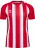 Hummel Hmlmatch Striped Trikot S/S (233155-3946) true red/white
