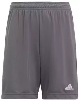 Adidas Entrada 22 Shorts (H57507) team grey four/blau