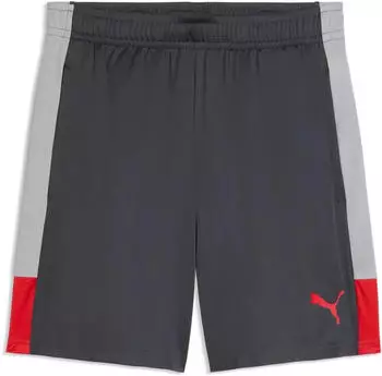 Puma IndividualLIGA Training Shorts (660574-01) schwarz