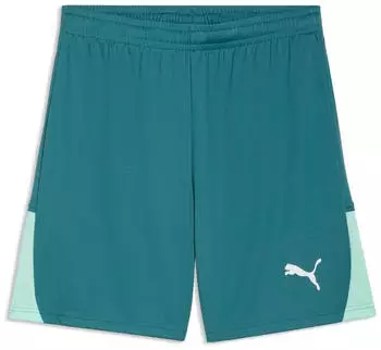 Puma teamLIGA26 Schiedsrichter Shorts (706554) emerald ice/puma white/mint jelly