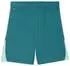 Puma teamLIGA26 Schiedsrichter Shorts (706554) emerald ice/puma white/mint jelly