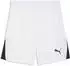 Puma teamLIGA26 Schiedsrichter Shorts (706554) emerald ice/puma white/mint jelly