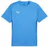 Puma teamGOAL Trikot