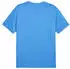 Puma teamGOAL Trikot