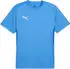 Puma teamGOAL Trikot