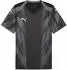 Puma teamFINAL Graphic+ Jersey (706654) rickie orange/puma white/dark myrtle