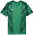 Puma teamFINAL Graphic+ Jersey (706654) rickie orange/puma white/dark myrtle