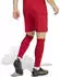 Adidas Entrada26 Shorts Team Power Red 2/White (JZ2517)