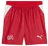 Puma Schweiz 2026 Shorts Herren Rot Red (783233_01)