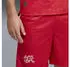 Puma Schweiz 2026 Shorts Herren Rot Red (783233_01)