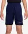 Nike Academy Dri-FIT Fußball Shorts aus Webmaterial (ältere Kinder) Blau IF2770-492