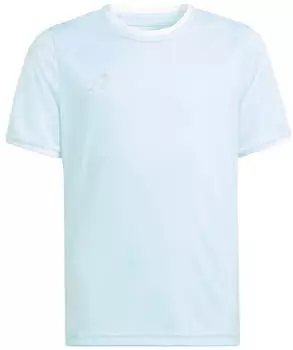 Adidas Kinder Trikot Entrada 26 Jersey Y KE9844 Halo Mint/White