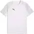 Puma teamLIGA26 Trikot (659721) weiß