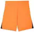Puma teamLIGA26 Referee Shorts (706554) rickie orange/puma white/puma black