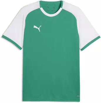 Puma teamLIGA26 Matchday Trikot Regular Fit (706544-05) sport green/puma white