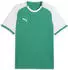 Puma teamLIGA26 Matchday Trikot Regular Fit (706544-05) sport green/puma white