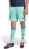 Adidas DFB Deutschland Auswärtsshorts Kinder 2026
