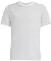 adidas Entrada 26 Trikot Kinder - team light grey/white - 104