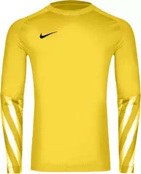 Nike Dri-Fit Park V Langarm-Torwarttrikot (HV8314-718) lightening/schwarz