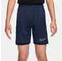 Nike Academy Dri-FIT Fußball Shorts aus Webmaterial (ältere Kinder) Blau IF2770-410