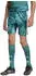Adidas DFB Germany Heim Torwartshorts 2026 Kids (KD5119) active green