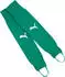 Puma teamLIGA26 Core Stegstutzen (707095) sport green/puma white