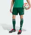 Adidas Algeria 26 Auswärtsshorts (JN4463) team dark green