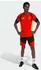 Adidas Belgien 26 Tiro Trainingstrikot Red (KB3408)