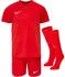 Nike Dri-FIT Park VIII Fußballtrikot-Set (HV8260-657) rot