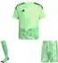 Adidas Tiro 26 Competition GK Torwarttrikot (KC5353) lime burst