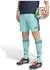 Adidas DFB Deutschland Shorts 2026