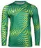 Nike Gardien VI Torwarttrikot Langarm (HV8310-324) grün