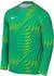 Nike Gardien VI Torwarttrikot Langarm (HV8310-324) grün