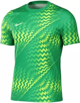 Nike Gardien VI Torwarttrikot Langarm (HV8305-324) gr&uuml;n