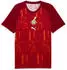 Puma Warm Up 1/4 Zip Top (784964) rot