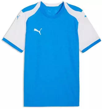 Puma Teamfinal26 Knit Jersey (706651) electro royal-puma white