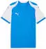 Puma Teamfinal26 Knit Jersey (706651) electro royal-puma white