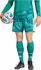 Adidas DFB Deutschland Shorts 2026 petrol/weiß