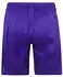 JAKO Mainz 05 Short Away (MZ4425A) lila