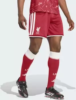 Adidas FC Liverpool 26/27 Heimshorts Active Maroon (KA6854)